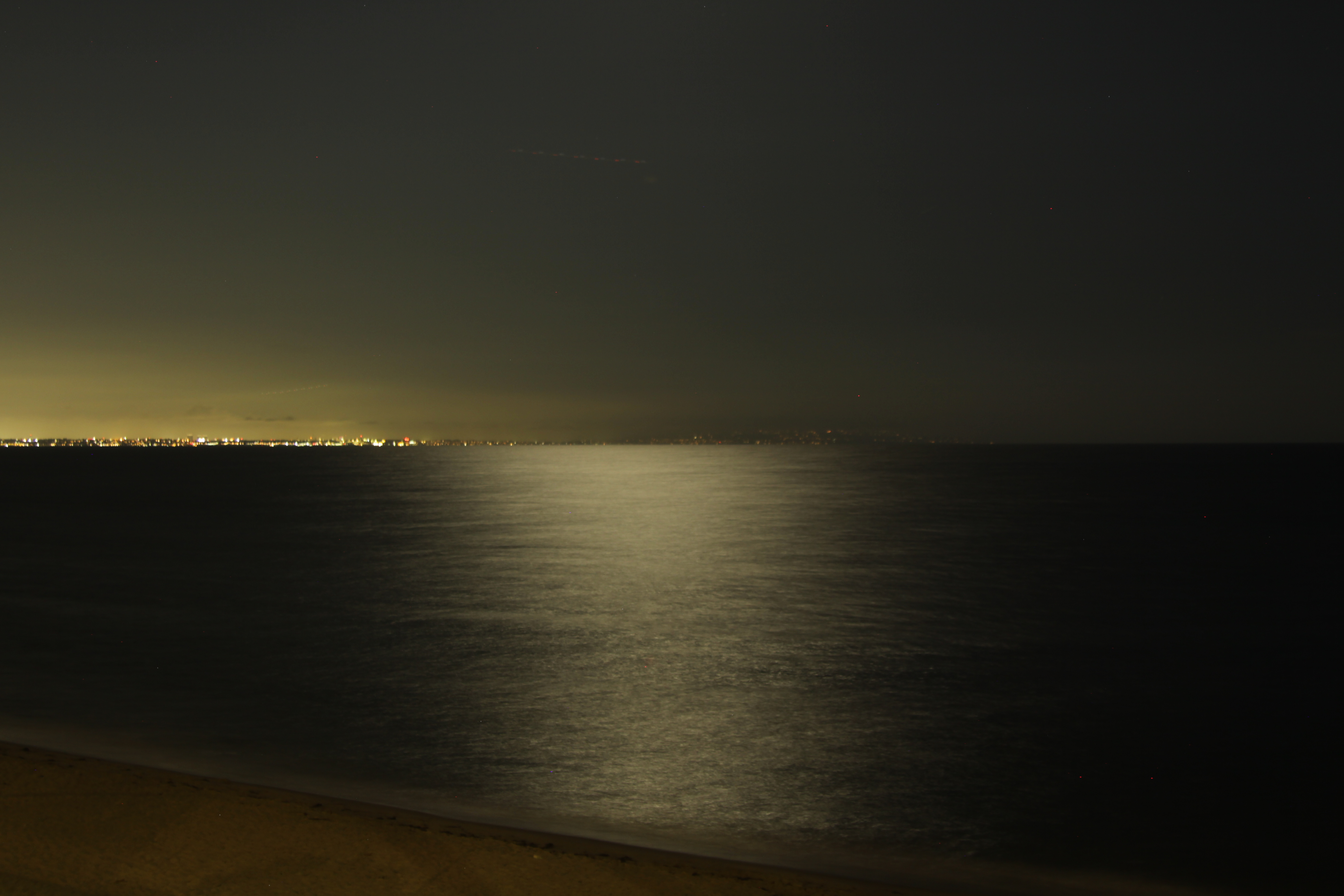 marine-image