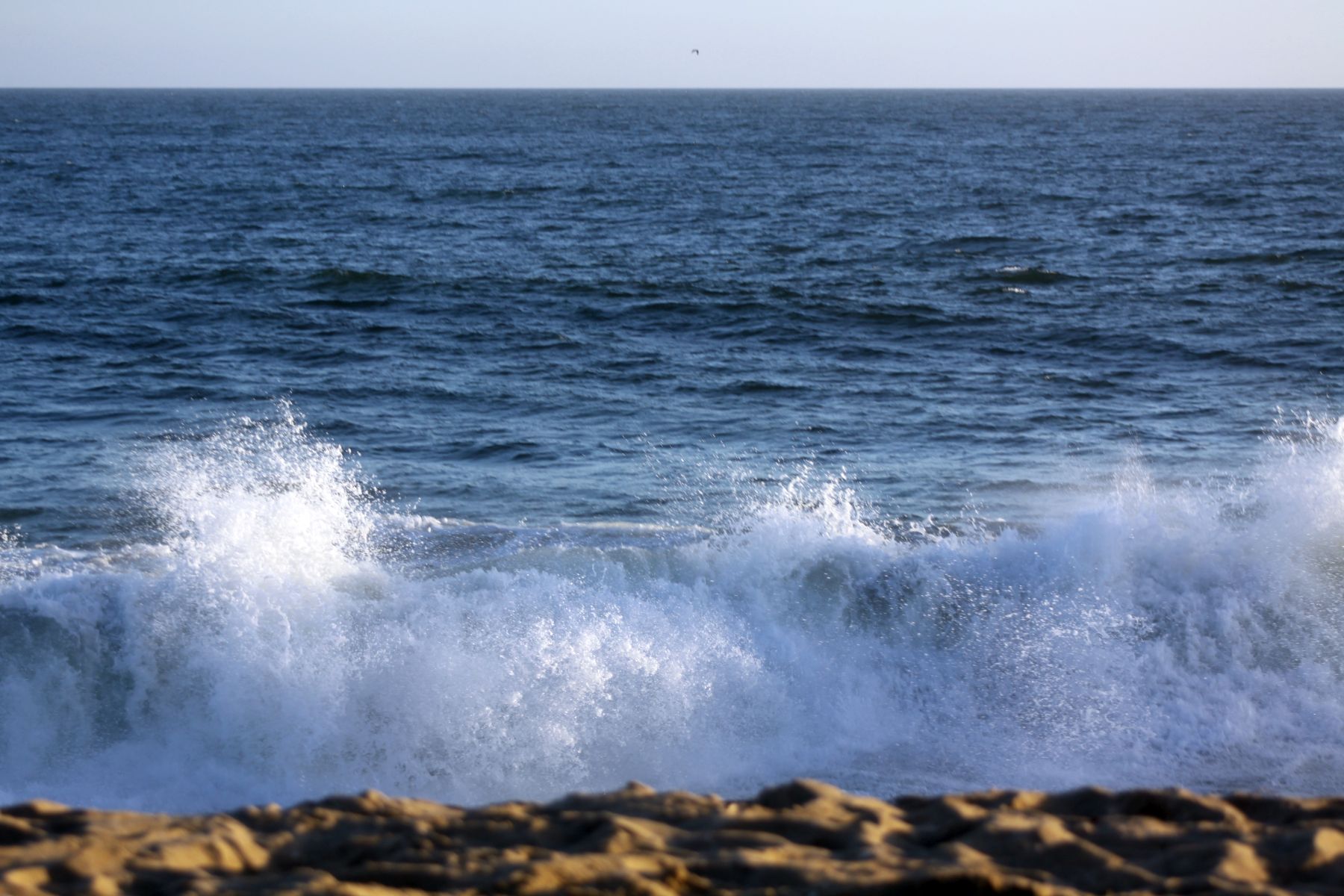 marine-image